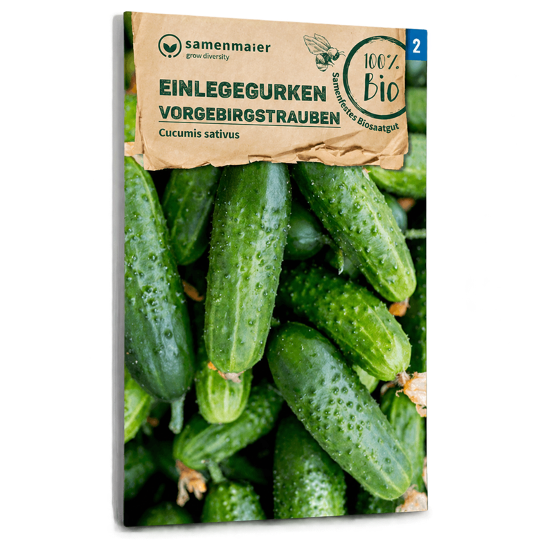 Bio-Einlegegurke 'Vorgebirgstrauben' Samen