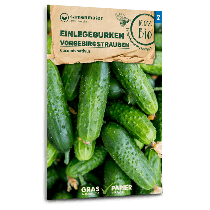 Bio-Einlegegurke 'Vorgebirgstrauben' Samen