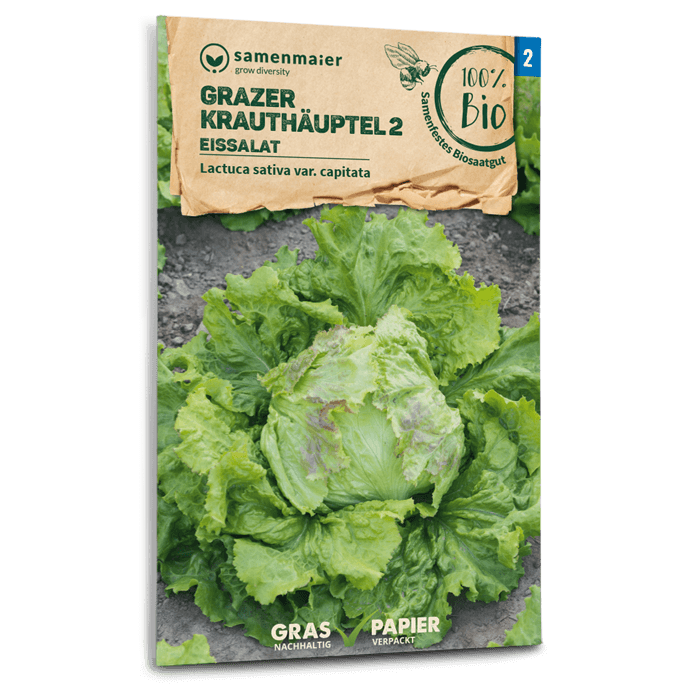 Bio-Eissalat 'Grazer Krauthäuptel 2' Samen