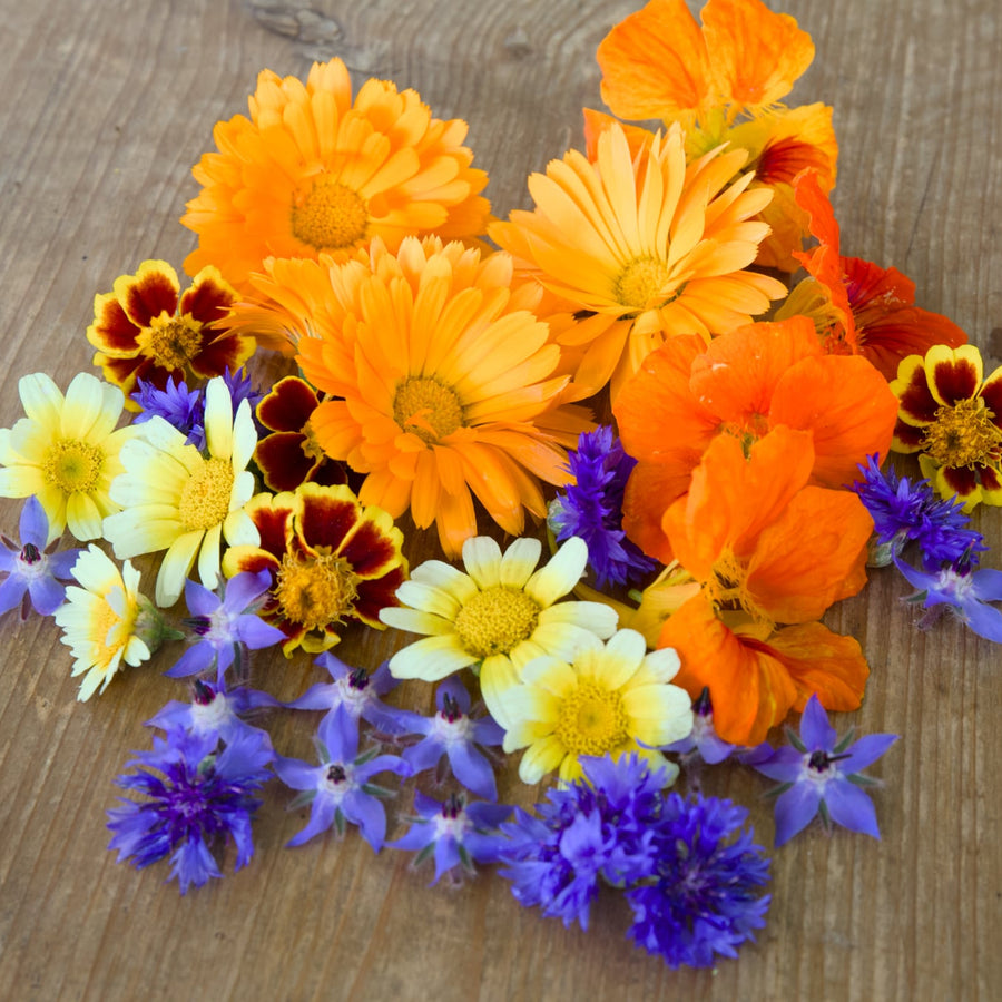 Bio-Essbare Blüten Mischung-Essbare Blüten