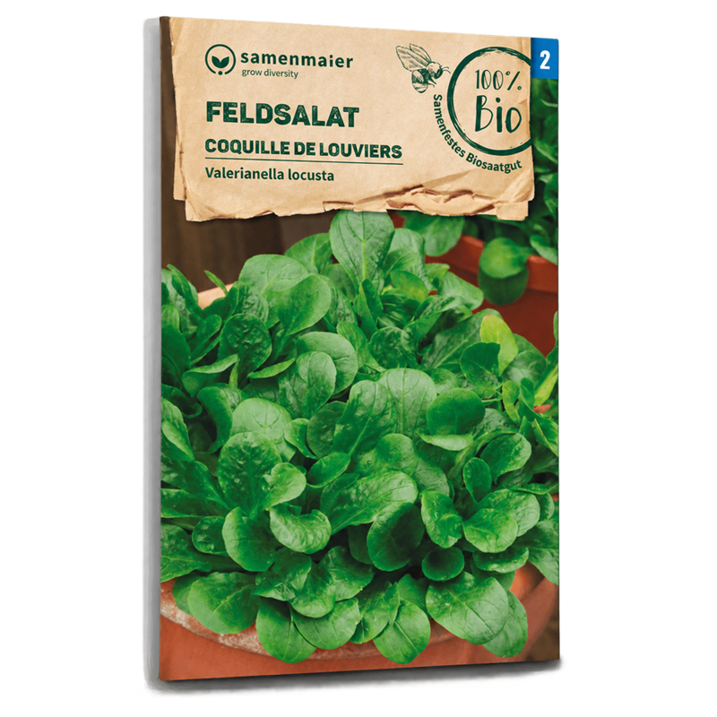 Bio-Feldsalat 'Coquille de Louviers' Samen