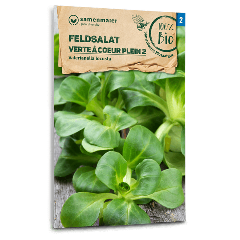 Bio-Feldsalat 'Verte a coeur plein 2' Samen