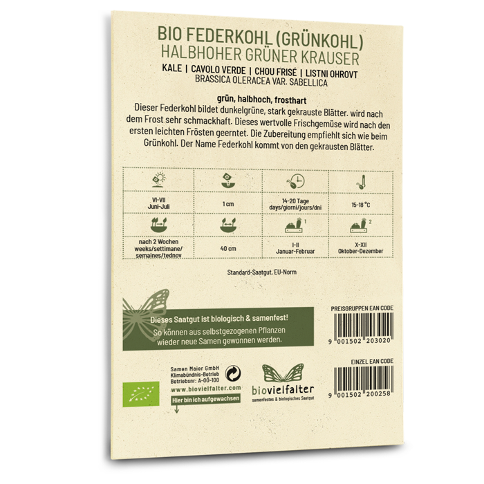 Bio-Grünkohl 'Halbhoher Grüner Krauser' Saatgut