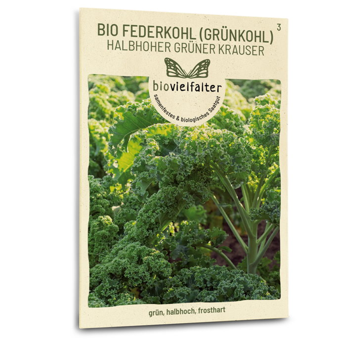 Bio-Grünkohl 'Halbhoher Grüner Krauser' Samen