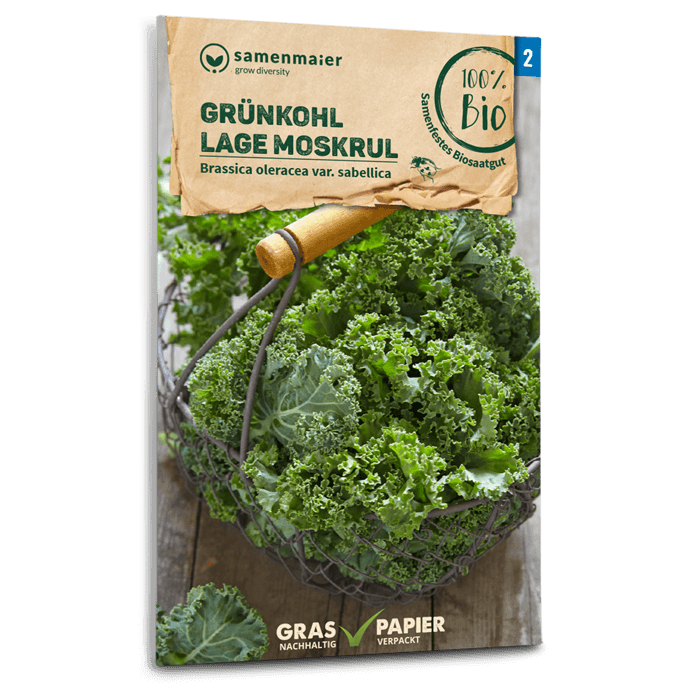 Bio-Grünkohl 'Lage Moskrul'