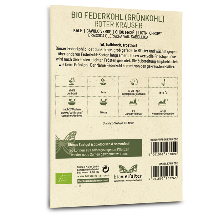 Bio-Grünkohl 'Roter Krauser' Saatgut