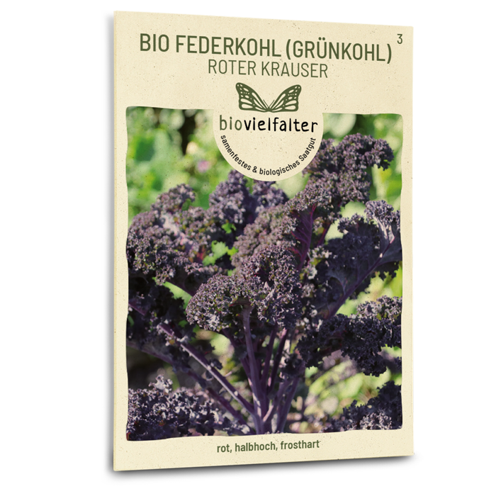 Bio-Grünkohl 'Roter Krauser' Samen