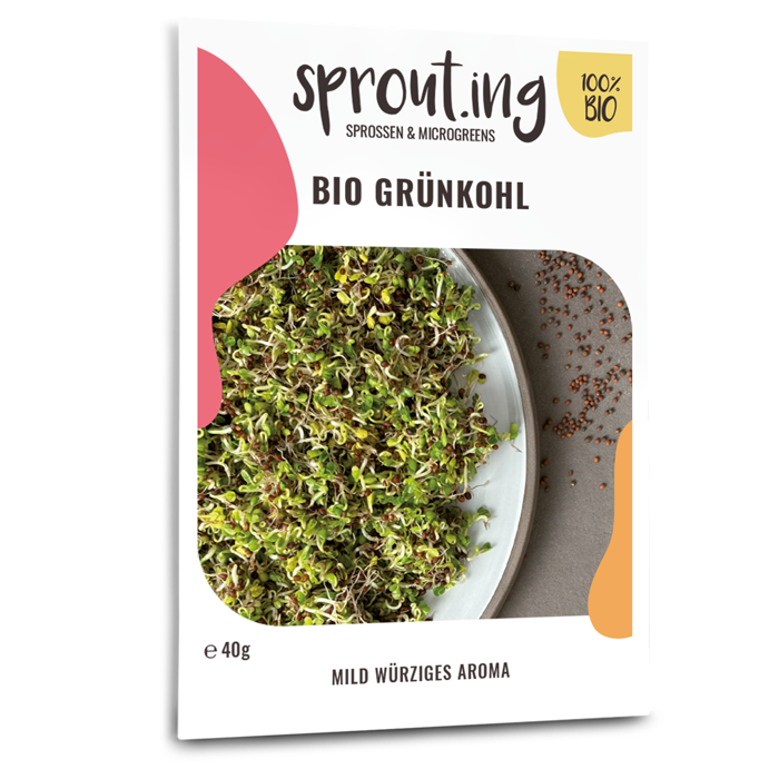 Bio-Grünkohl Sprossen Samen