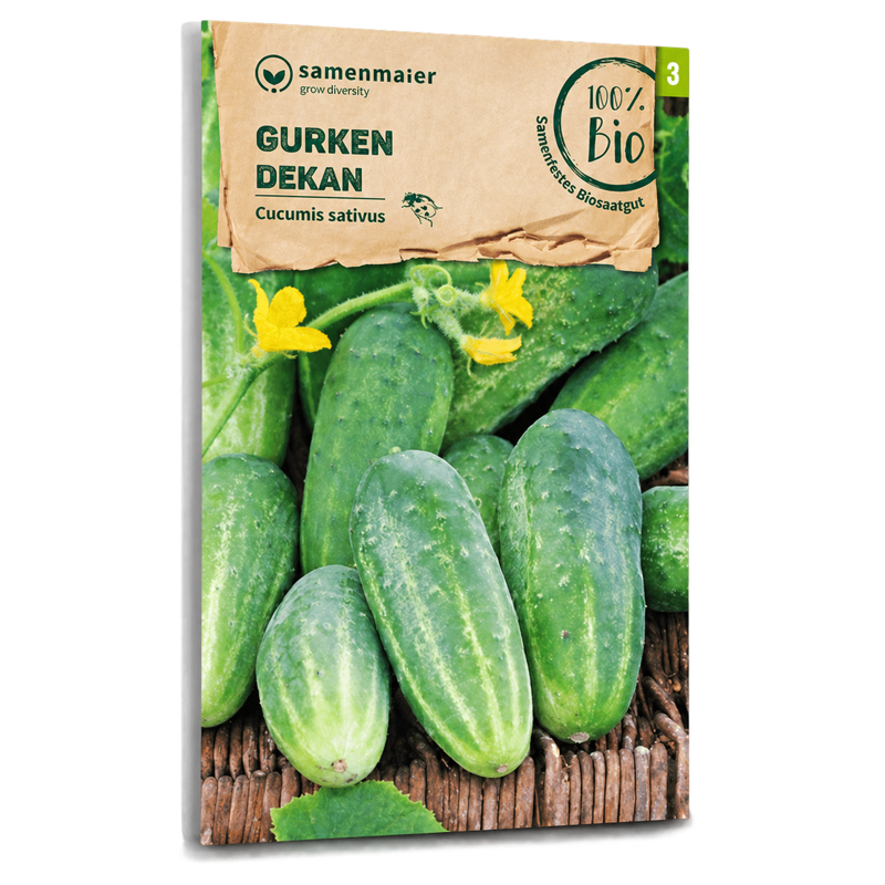 Bio-Gurke 'Dekan' Samen
