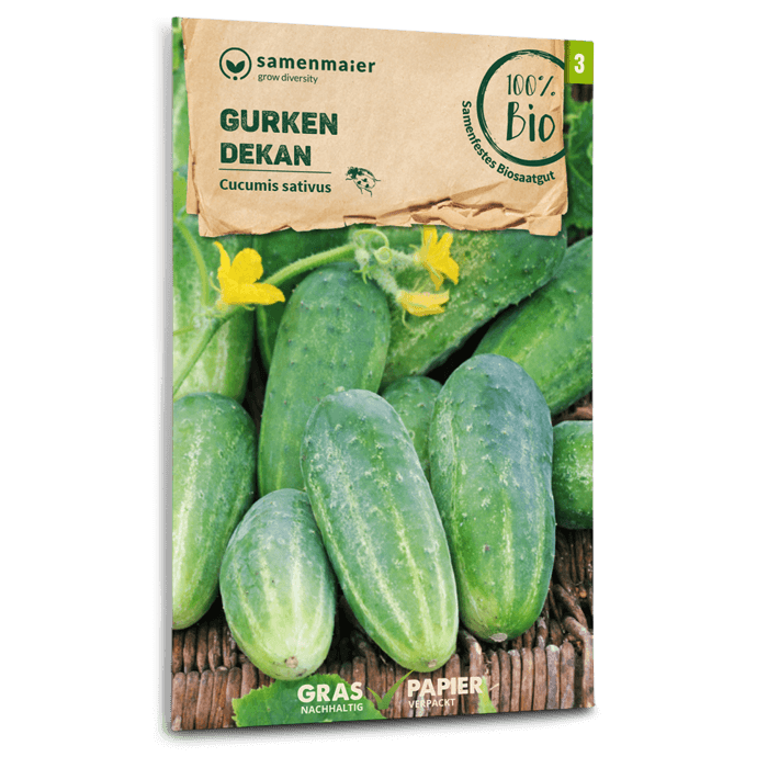 Bio-Gurke 'Dekan' Samen