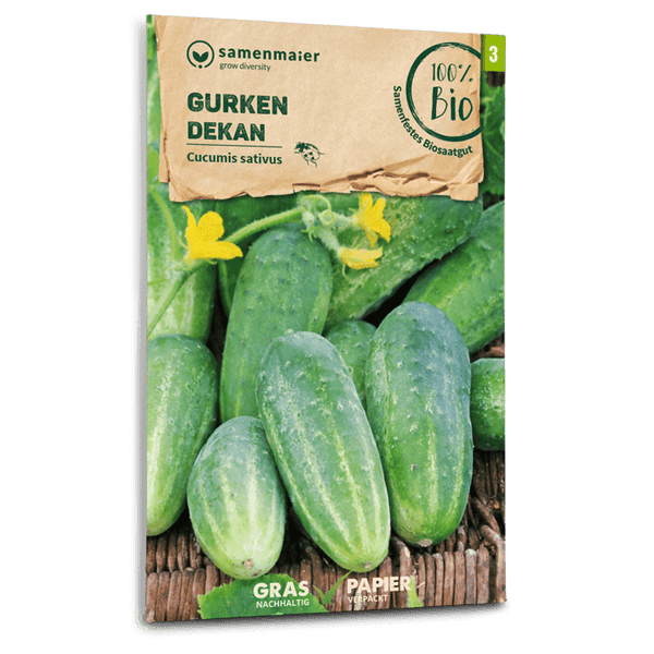 bio gurken dünger Bio-Gurke 'Dekan' kaufen