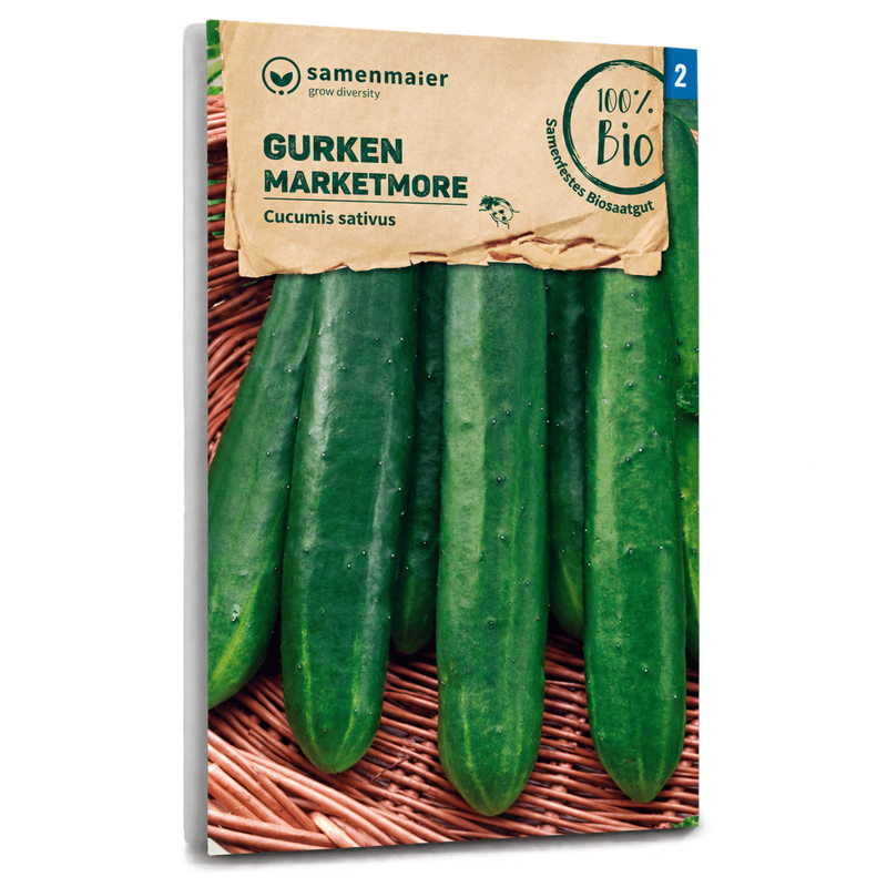 Bio-Gurke 'Marketmore' Samen