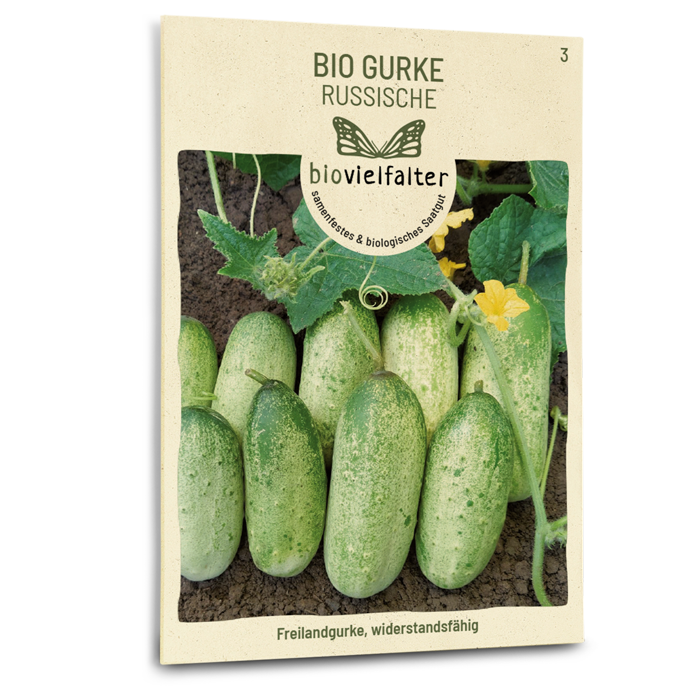Bio-Gurke 'Russische'