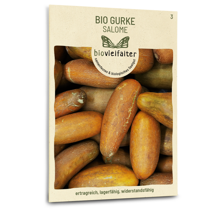 Bio-Gurke 'Salome' Samen