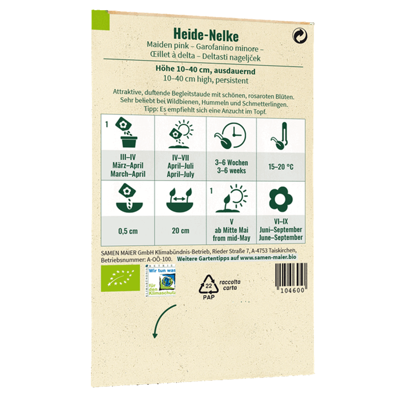 Bio-Heide-Nelke Wildblume Saatgut