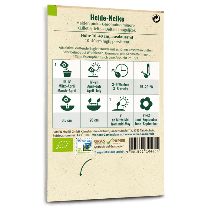 Bio-Heide-Nelke Wildblume Saatgut
