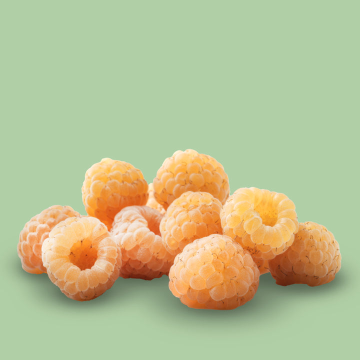 Gelbe Früchte der Bio-Himbeere 'Golden Everest'