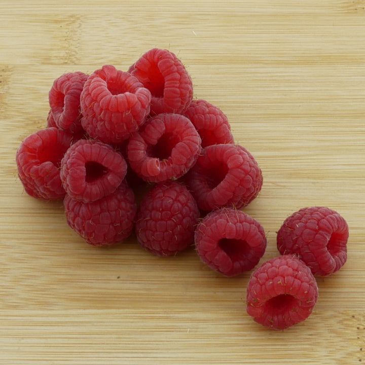 Früchte der Bio-Himbeere 'Meeker'