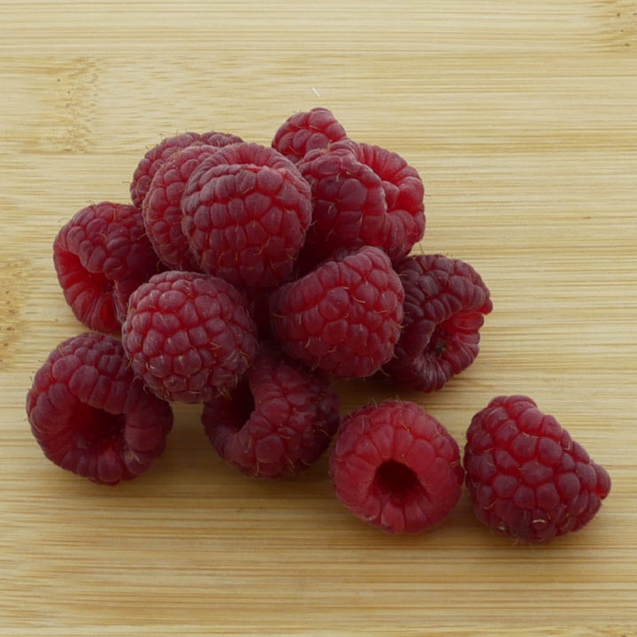 Früchte der Bio-Himbeere 'Willamette'