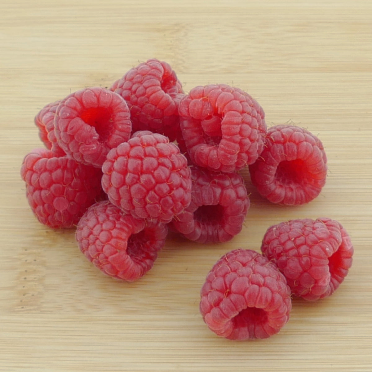 Früchte der Bio-Himbeere 'ZEFA 3 Herbsternte'