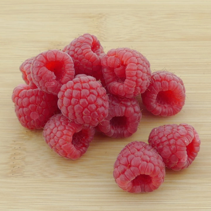 Früchte der Bio-Himbeere 'ZEFA 3 Herbsternte'