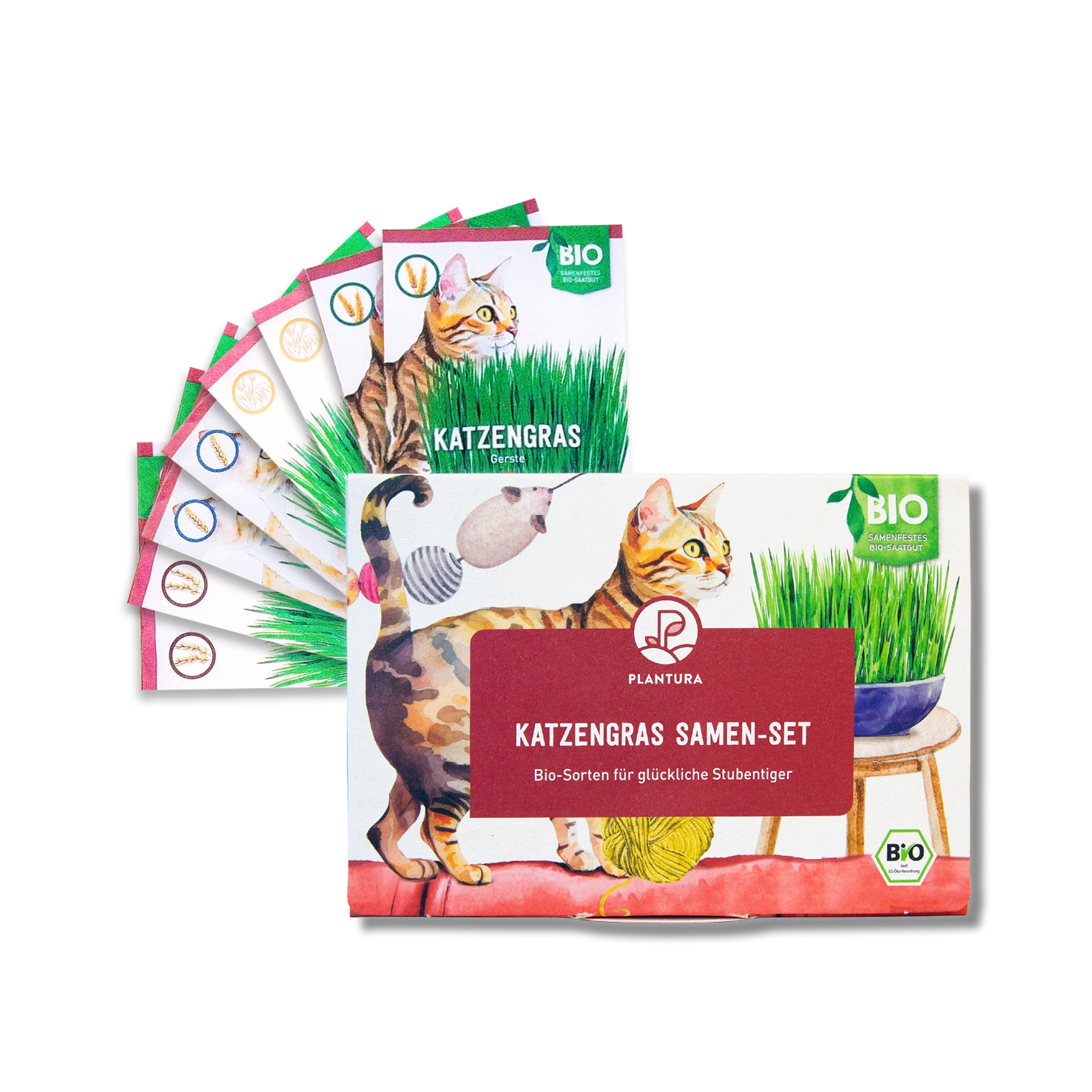 Bio-Katzengras Samen-Set kaufen