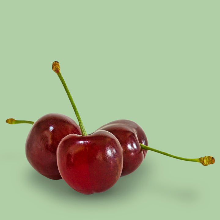 Früchte des Bio-Kirschbaums 'Aida'