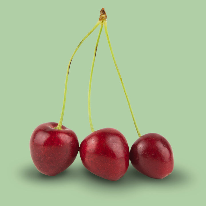 Früchte des Bio-Kirschbaums 'Erika'