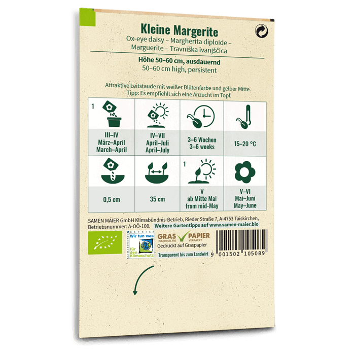 Bio-Kleine Margerite Wildblume Saatgut