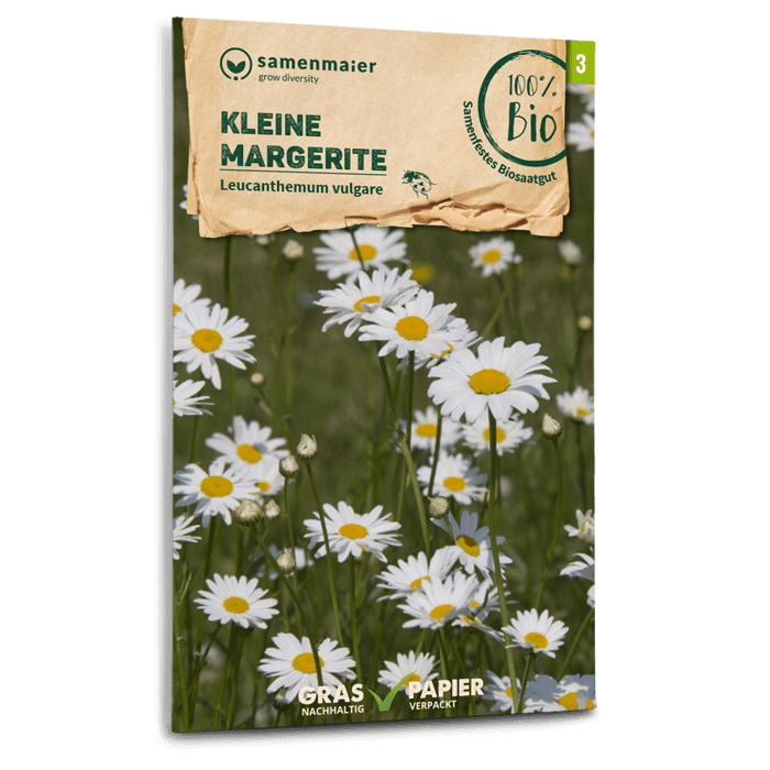 Bio-Kleine Margerite Wildblume