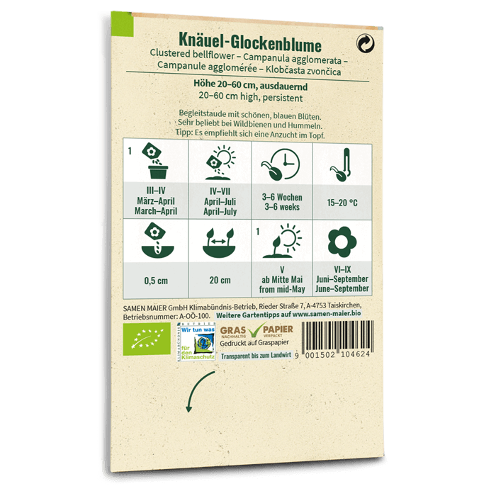 Bio-Knäuel-Glockenblume Wildblume Saatgut
