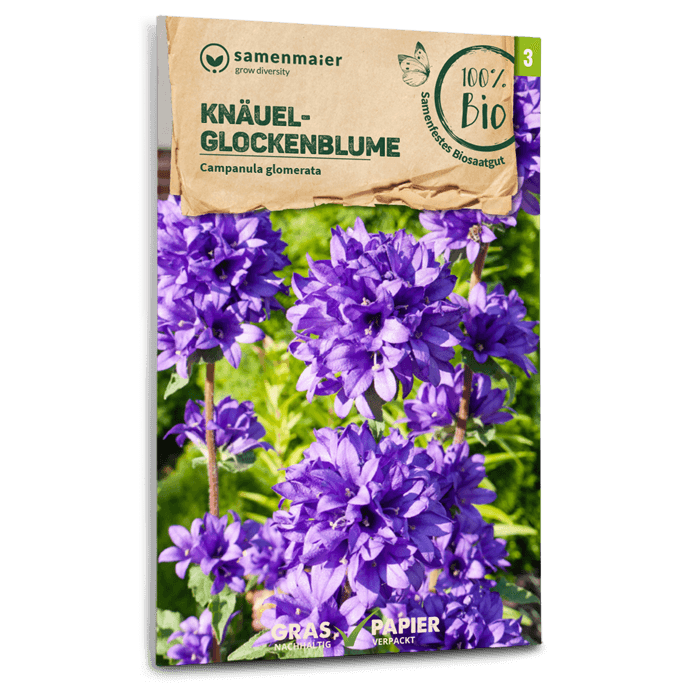Bio-Knäuel-Glockenblume Wildblume Samen