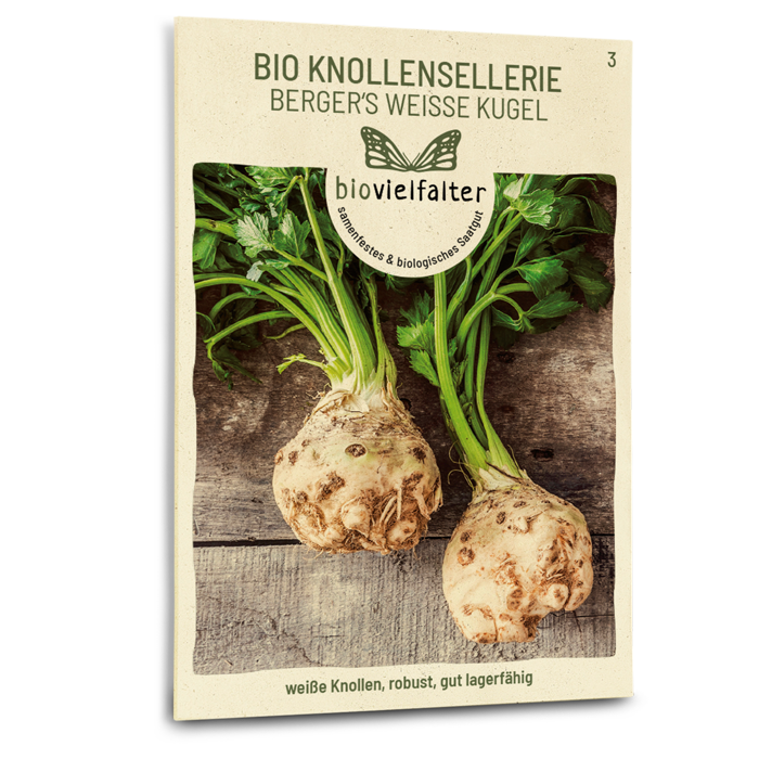 Bio-Knollensellerie 'Berger's weiße Kugel' Samen