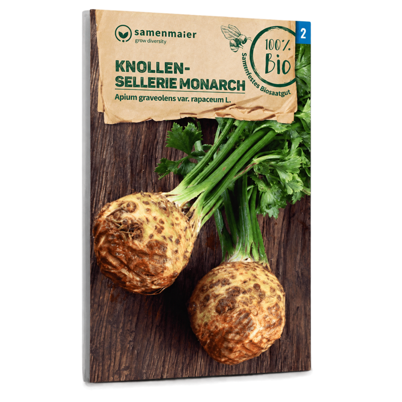 Bio-Knollensellerie 'Monarch' Samen