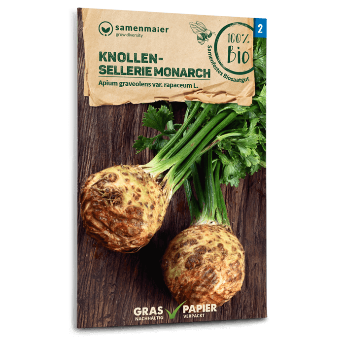 Bio-Knollensellerie 'Monarch' Samen