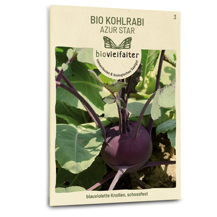 Bio-Kohlrabi 'Azur Star' Samen