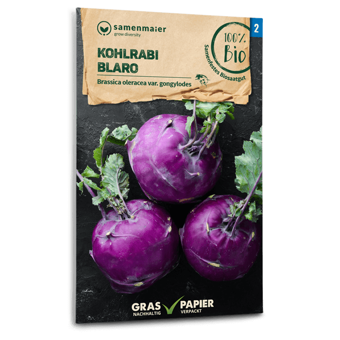 Bio-Kohlrabi 'Blaro' Samen