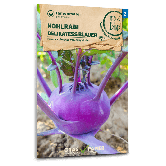Bio-Kohlrabi 'Blauer Delikatess' Früh