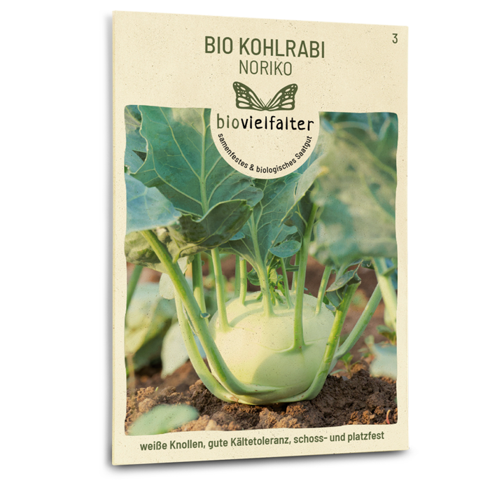 Bio-Kohlrabi 'Noriko' Samen