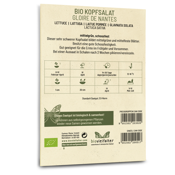 Bio-Kopfsalat 'Gloire de Nantes' Saatgut