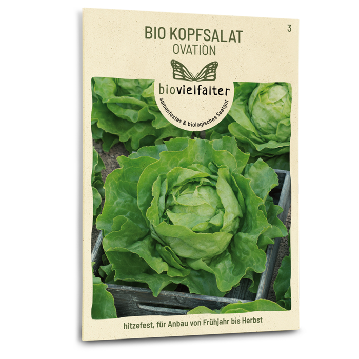 Bio-Kopfsalat 'Ovation'