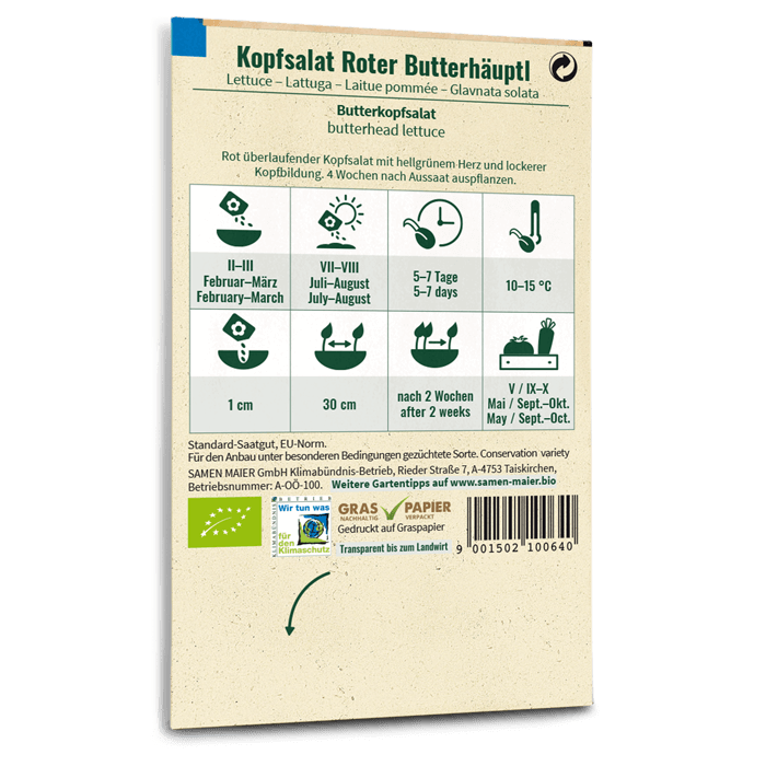 Bio-Kopfsalat 'Roter Butterhäuptl' Saatgut