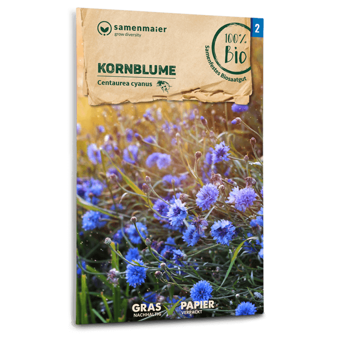 Bio-Kornblume Blau Samen