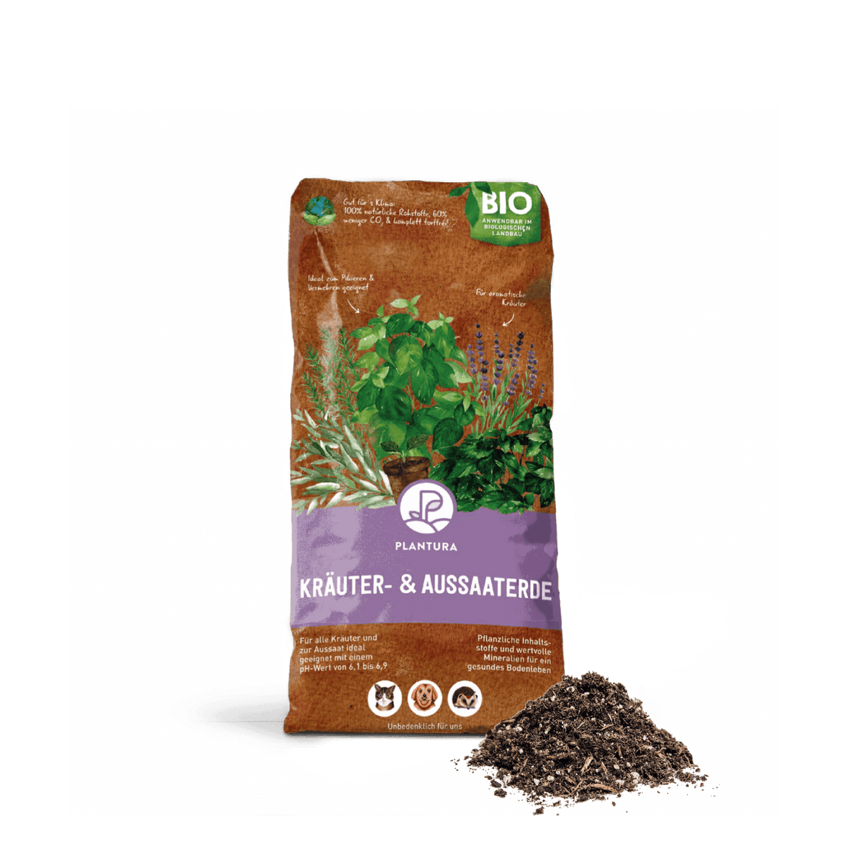 Schleierkraut: Anpflanzen, Schneiden & Trocknen - Plantura Schleierkraut: Anpflanzen, Schneiden & Trocknen - Plantura