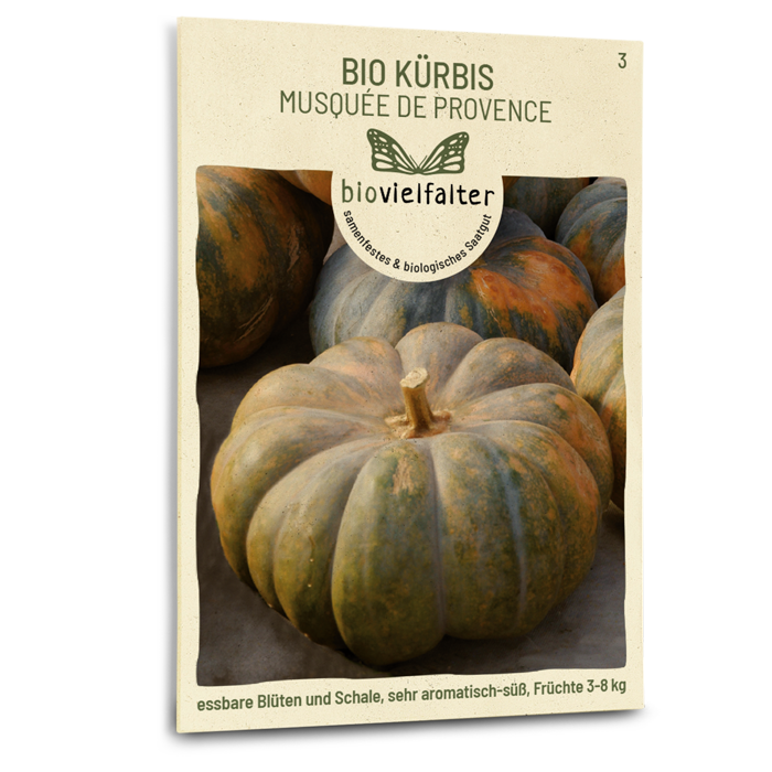 Bio-Kürbis 'Musquée de Provence' Samen