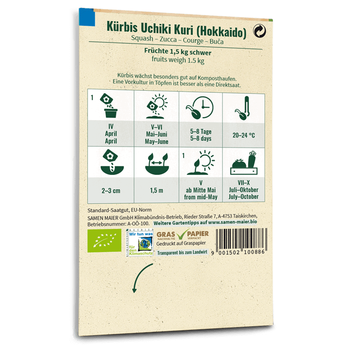 Bio-Kürbis 'Uchiki Kuri' Hokkaido Saatgut