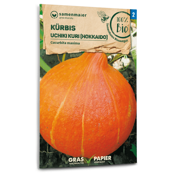 Bio-Kürbis 'Uchiki Kuri' Hokkaido Samen