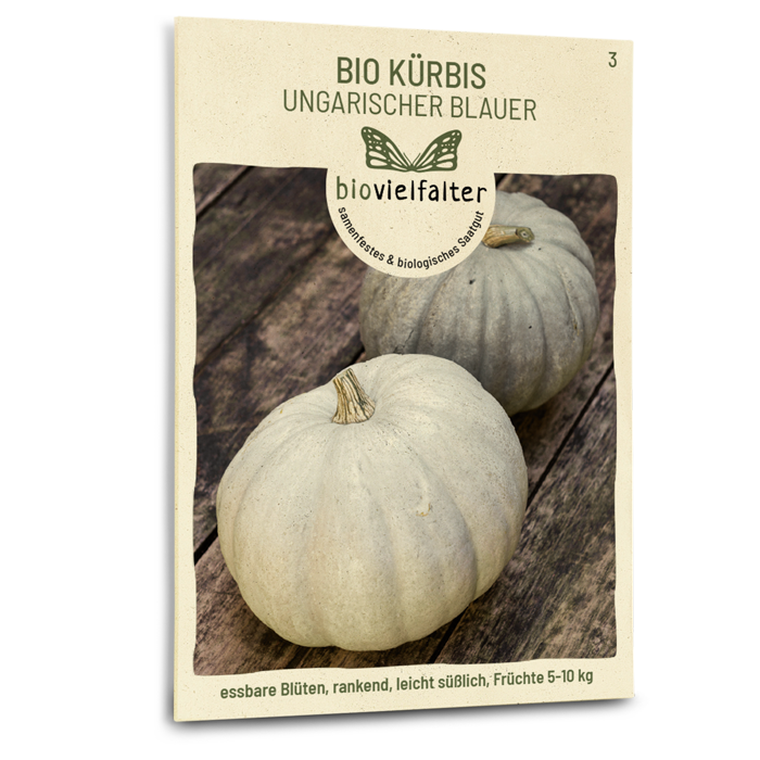 Bio-Kürbis 'Ungarischer Blauer' Samen