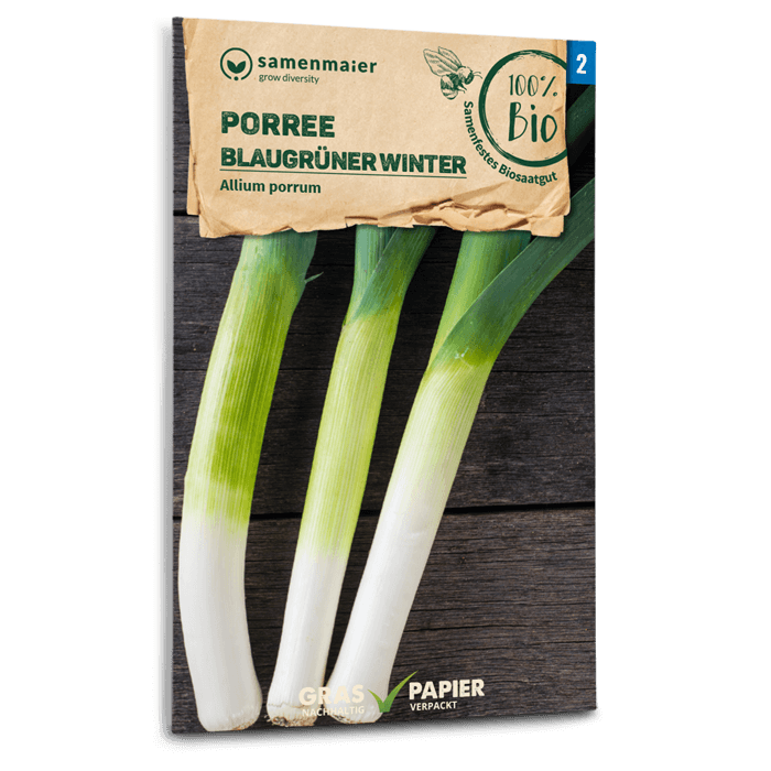 Bio-Lauch 'Blaugrüner Winter' Samen