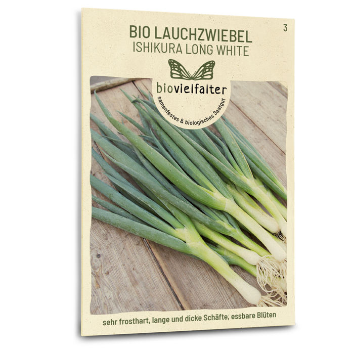 Bio-Lauchzwiebel 'Ishikura Long White' Samen